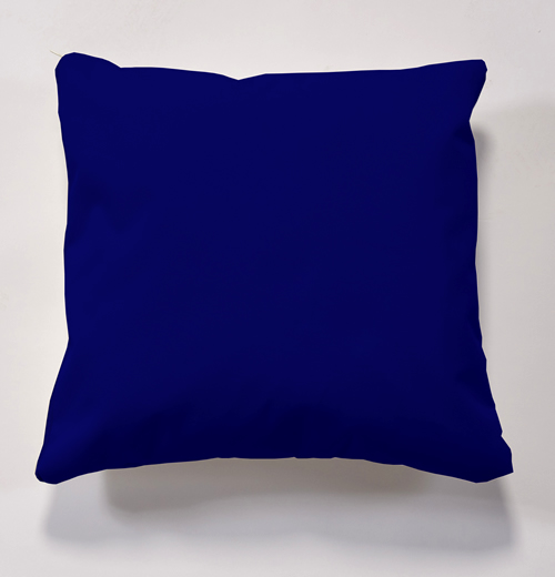 Set of 4 Water Resistant Cushions